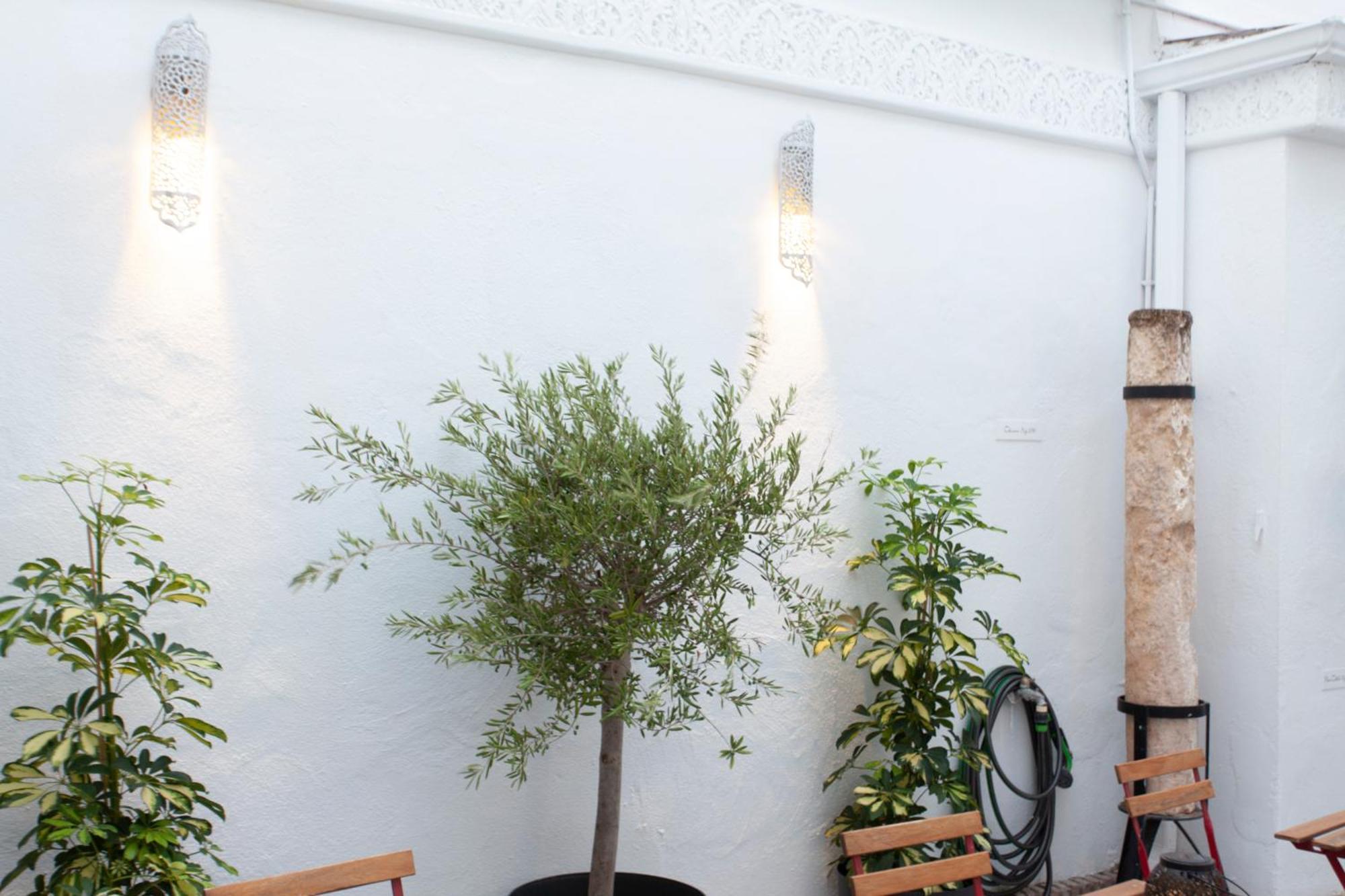 Altabib Riad 코르도바 외부 사진